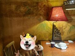 -绿茶餐厅(华联万柳店)