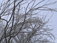 -北京亚布洛尼朝阳公园滑雪场