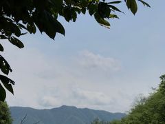 -牛背梁国家森林公园