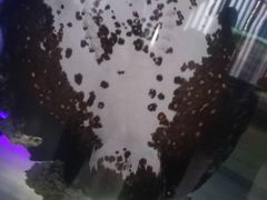 -泉州海丝野生动物世界