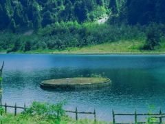 -武陵山森林公园