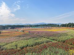 -苏州太湖西山岛开心农场