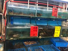 -阿弟特色海鲜餐厅·大排档(平潭店)