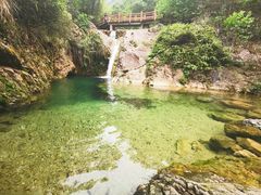 -南海湾森林生态园