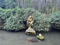 -杭州黄龙洞