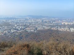 -紫金山山顶公园