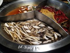 -大龙燚火锅(春熙店)