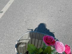 -大理洱海