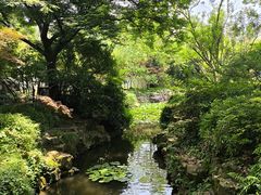 -上海醉白池公园