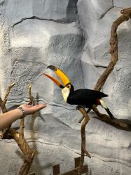 -Zoolung Zoolung动物主题公园(海信广场店)