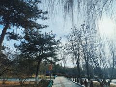 -燕郊植物园