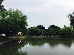 -瀛洲公园