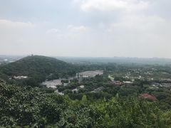 -上海佘山国家森林公园西佘山园