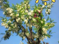 -川流不息·地道川菜·小龙虾(新松江路店)