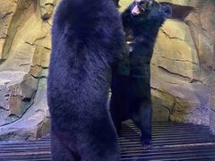 -波塞冬旅游度假区