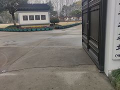 -陈家山荷花公园