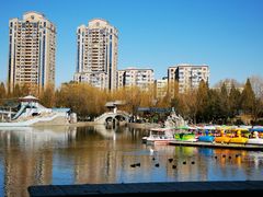 -团结湖公园