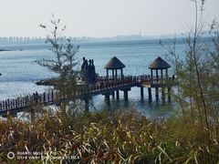 -养马岛旅游度假区