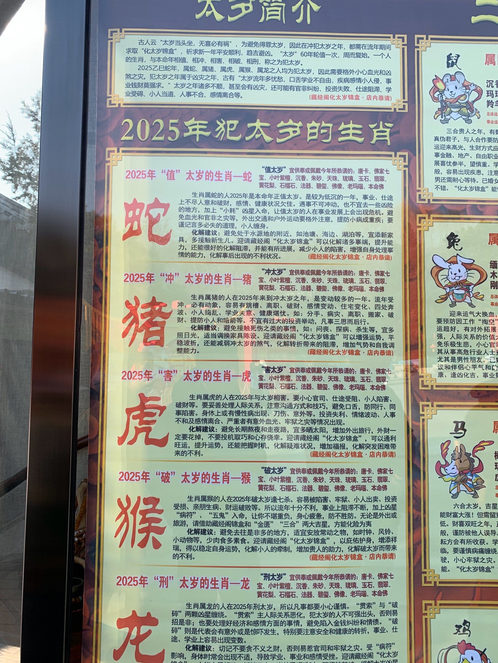 十二生肖鼠运势202年(2022生肖鼠全年运势大全)