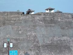 -石炮台公园