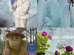 -洛阳白云山景区