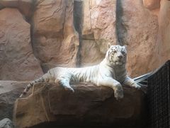 -鄂尔多斯野生动物园