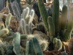 -国家植物园南园