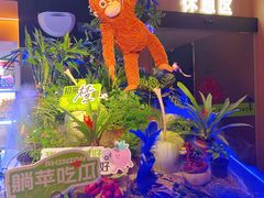 -涨巢·潮玩水疗局