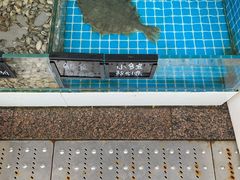-北戴河庆山饭店·海鲜砂锅粥(北戴河黑石路店)