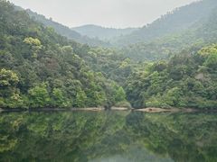 -广州市石门国家森林公园