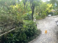 -广州锦绣香江度假别墅