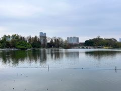 -东山湖公园