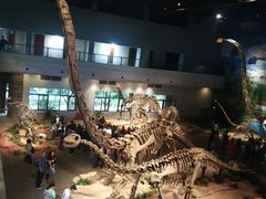 -自贡恐龙博物馆