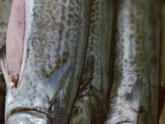 -三乐海鲜水饺馆