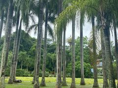 -中国科学院西双版纳热带植物园
