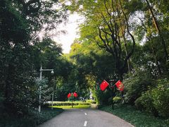 -深圳国际园林花卉博览园