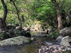 -花溪风景区