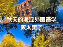 -北京市海淀外国语实验学校