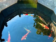 -西安市广仁寺