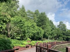 -荔枝公园(福田区)