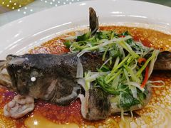 清蒸珍珠龙趸-红馆喜宴(十亩地店)