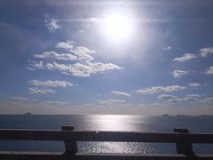 -星海湾跨海大桥