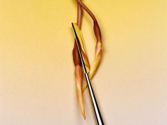 -麦当劳(新王府井店)