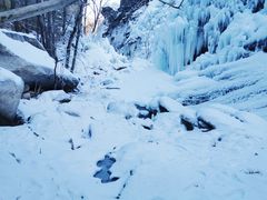 -黑龙潭风景区