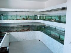 -悦庭六号餐厅(麦岛店)