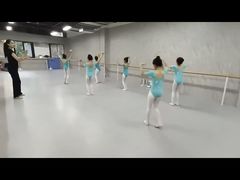 -舞蕾舞蹈(特长生校区)