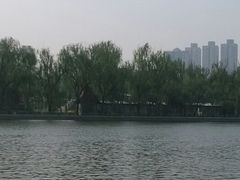 -迎泽公园