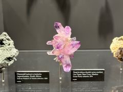 -墨尔本博物馆(Melbourne Museum)