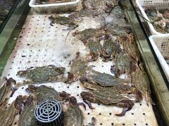 -味茂·老船夫1927(东海东路店)