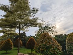 -东莞植物园